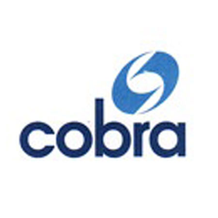 Cobra instalaciones y servicios S.A.